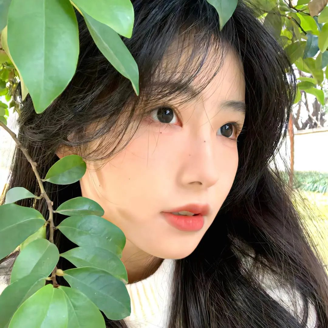 骨头社