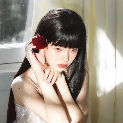 哈莉·奎茵第四季